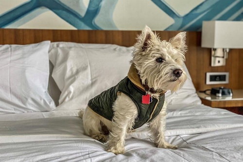 Ithaca Marriott Downtown on the Commons image 8